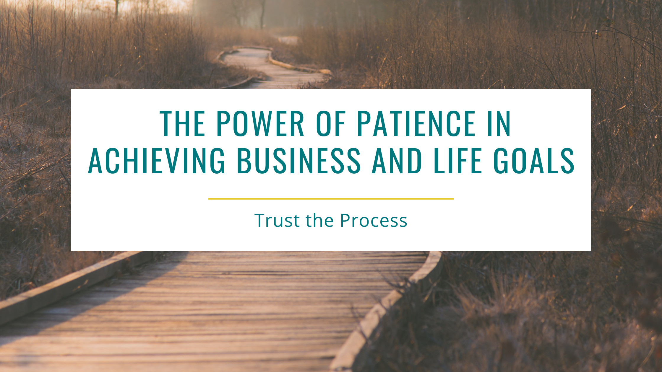 Bobbi Brinkman The Power of Patience in Achieving Business and Life Goals
